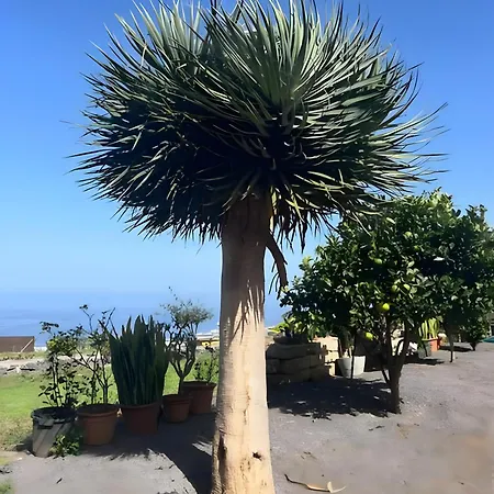 Hébergement de vacances Refugio Volcanes 2 Los Realejos